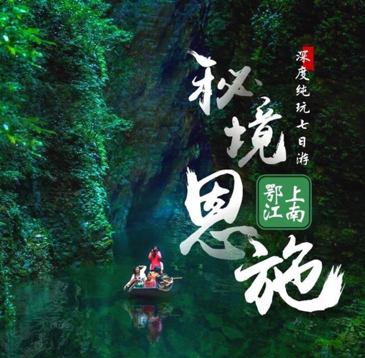 奥利维亚收养猫