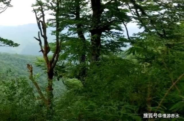 平底鞋