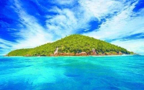 猫冬请来张家界|绝美雾凇上线!张家界七星山景区雾凇美不胜收