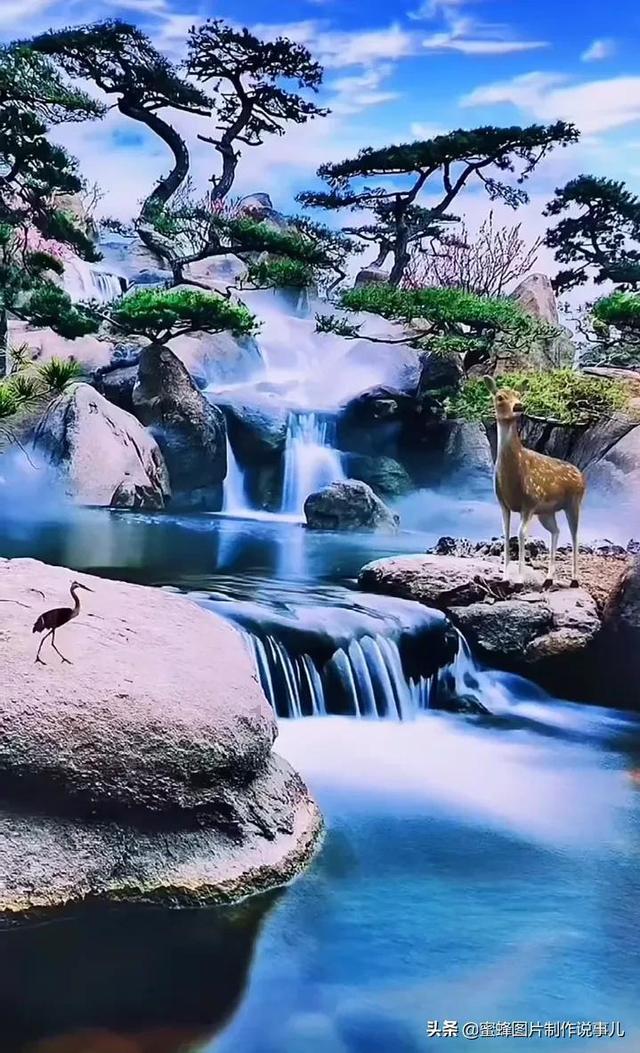 探索《闪光的乐队》与其他的音乐综艺相比,有哪些不一样的地方?的知识星球平台 | 了解一站式信息分享与交流平台