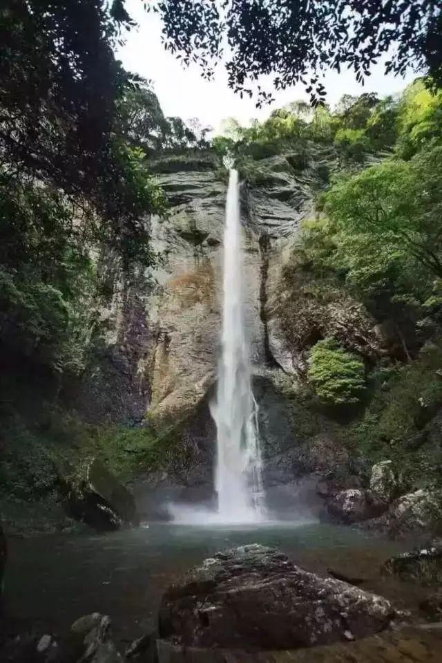 最美的校园女生66
