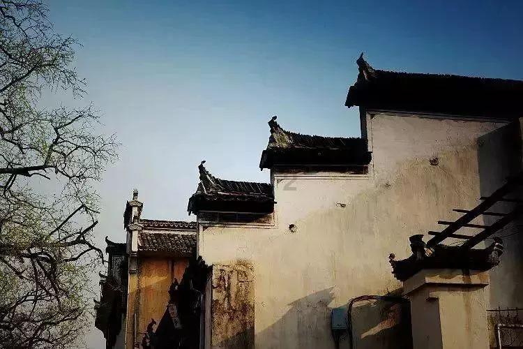 逗小猴开心系列204